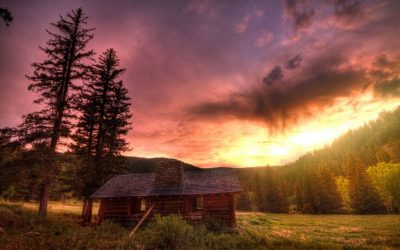 Дом в лесу: какой стиль лучше выбрать? 230+(Фото) душевного уединения и комфорта. А что понравится Вам?