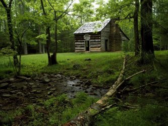 Дом в лесу: какой стиль лучше выбрать? 230+(Фото) душевного уединения и комфорта. А что понравится Вам?
