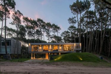 Дом в лесу: какой стиль лучше выбрать? 230+(Фото) душевного уединения и комфорта. А что понравится Вам?