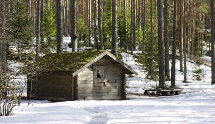 Дом в лесу: какой стиль лучше выбрать? 230+(Фото) душевного уединения и комфорта. А что понравится Вам?