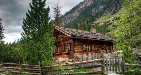 Дом в лесу: какой стиль лучше выбрать? 230+(Фото) душевного уединения и комфорта. А что понравится Вам?