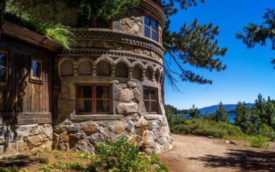 Дом в лесу: какой стиль лучше выбрать? 230+(Фото) душевного уединения и комфорта. А что понравится Вам?