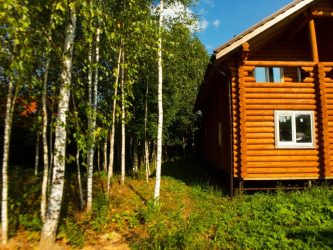 Дом в лесу: какой стиль лучше выбрать? 230+(Фото) душевного уединения и комфорта. А что понравится Вам?