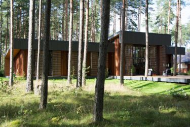 Дом в лесу: какой стиль лучше выбрать? 230+(Фото) душевного уединения и комфорта. А что понравится Вам?