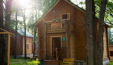 Дом в лесу: какой стиль лучше выбрать? 230+(Фото) душевного уединения и комфорта. А что понравится Вам?