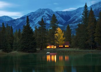 Дом в лесу: какой стиль лучше выбрать? 230+(Фото) душевного уединения и комфорта. А что понравится Вам?