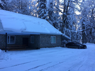 Дом в лесу: какой стиль лучше выбрать? 230+(Фото) душевного уединения и комфорта. А что понравится Вам?