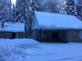 Дом в лесу: какой стиль лучше выбрать? 230+(Фото) душевного уединения и комфорта. А что понравится Вам?