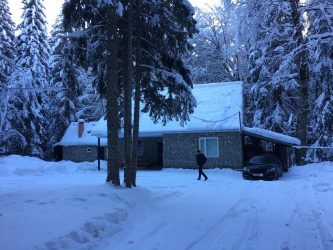 Дом в лесу: какой стиль лучше выбрать? 230+(Фото) душевного уединения и комфорта. А что понравится Вам?