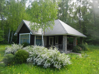 Дом в лесу: какой стиль лучше выбрать? 230+(Фото) душевного уединения и комфорта. А что понравится Вам?