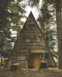 Дом в лесу: какой стиль лучше выбрать? 230+(Фото) душевного уединения и комфорта. А что понравится Вам?