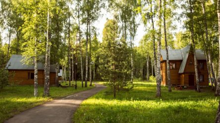 Дом в лесу: какой стиль лучше выбрать? 230+(Фото) душевного уединения и комфорта. А что понравится Вам?