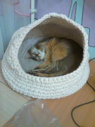 Домик для кошки своими руками: Как сделать пошагово? 150+ (Фото) из дерева, картона, коробок, с когтеточкой