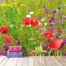 Выбор фотообоев для кухни – Интересное решение для любого дизайна (185+ Фото)