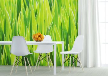 Выбор фотообоев для кухни – Интересное решение для любого дизайна (185+ Фото)