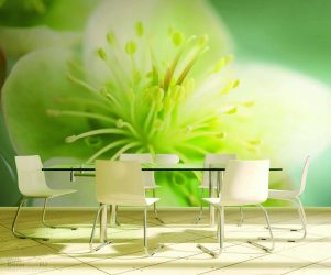 Выбор фотообоев для кухни – Интересное решение для любого дизайна (185+ Фото)