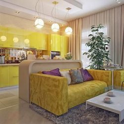 Интерьер кухни совмещенной с гостиной (180+Фото): Хитрости дизайна и секреты расстановки