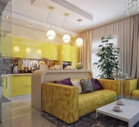 Интерьер кухни совмещенной с гостиной (180+Фото): Хитрости дизайна и секреты расстановки