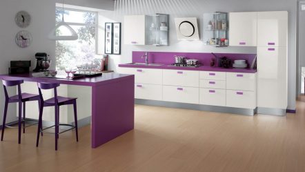 Фиолетовая кухня: Завораживающий дух или аура покоя? 170+(Фото) для безупречного дизайна интерьера