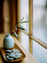 Дизайн квартиры в японском стиле: Спокойствие вашего дома. 220+ (Фото) Интерьера в разных комнатах (кухня, гостиная, ванная)