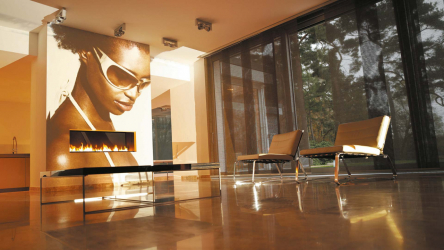 Дизайн квартиры в японском стиле: Спокойствие вашего дома. 220+ (Фото) Интерьера в разных комнатах (кухня, гостиная, ванная)