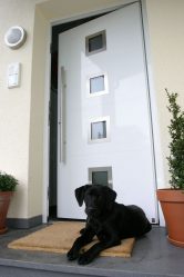 Современная входная металлическая дверь в дом. От выбора дизайна до отделки + 175 ФОТО