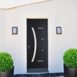 Современная входная металлическая дверь в дом. От выбора дизайна до отделки + 175 ФОТО