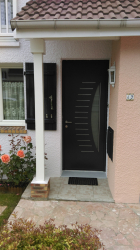 Современная входная металлическая дверь в дом. От выбора дизайна до отделки + 175 ФОТО