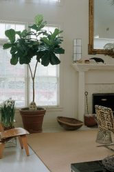 Декоративные напольные вазы с цветами: Как они меняют интерьер? 130+ (Фото) высоких, стильных, красивых