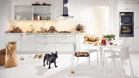 Современный дизайн обоев для кухни. Какие выбрать + Каталог Идей и 240 ФОТО