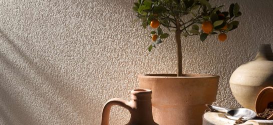 Современный дизайн обоев для кухни. Какие выбрать + Каталог Идей и 240 ФОТО