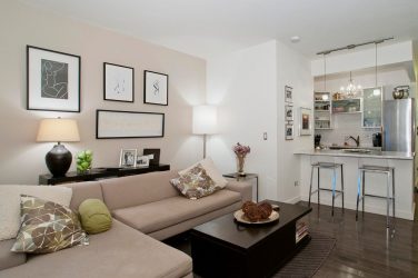 Однокомнатная Квартира: Стилевые решения с элементами декора. 205+ Фото Идей современного интерьера