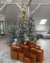 Оттенки новогоднего торжества: 120+ (Фото) палитры 2019 года. Встречаем ярко, красиво и оригинально год Желтой Свиньи