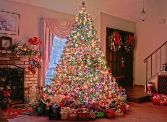 Оттенки новогоднего торжества: 120+ (Фото) палитры 2019 года. Встречаем ярко, красиво и оригинально год Желтой Свиньи