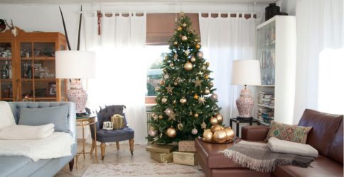 Оттенки новогоднего торжества: 120+ (Фото) палитры 2019 года. Встречаем ярко, красиво и оригинально год Желтой Свиньи