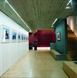 Паркет в интерьере: Как использовать? Как выбрать? 305+ (Фото) эффектных дизайнов (художественный, елочкой, модульный)