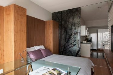 Планировка 1-й (однокомнатной) квартиры (210+ Фото). Стили от «А» до «Я» для хрущевок небольшого размера