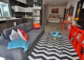 Планировка 1-й (однокомнатной) квартиры (210+ Фото). Стили от «А» до «Я» для хрущевок небольшого размера