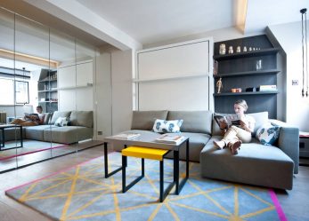 Планировка 1-й (однокомнатной) квартиры (210+ Фото). Стили от «А» до «Я» для хрущевок небольшого размера