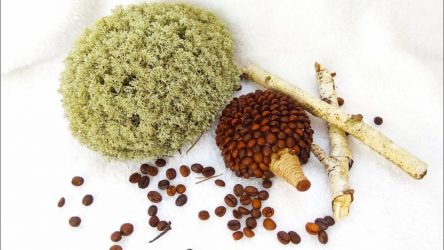 Самые необычные и интересные поделки из кофе и кофейных зерен на 5+. Легкие мастер-классы для начинающих пошагово (130+Фото)