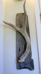 Поделки из природного материала своими руками в детский сад и школу (+180 Фото). Красивые и креативные идеи для детей