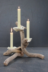 Поделки из природного материала своими руками в детский сад и школу (+180 Фото). Красивые и креативные идеи для детей