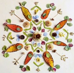 Поделки из природного материала своими руками в детский сад и школу (+180 Фото). Красивые и креативные идеи для детей