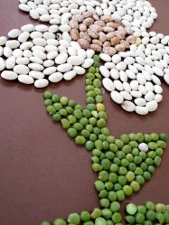 Поделки из природного материала своими руками в детский сад и школу (+180 Фото). Красивые и креативные идеи для детей