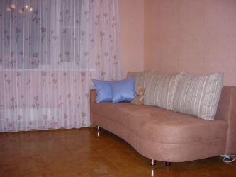 Пробковый пол в интерьере — Что он собой представляет? 100+(Фото) удачного решения. Почему стоит выбрать именно его?