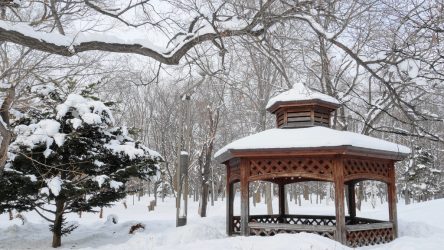 Садовые Беседки своими руками — Красивые варианты (245+ Фото). Как превратить в настоящее украшение? (из дерева, из металла, из поликарбоната)