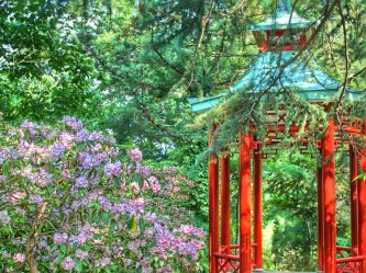 Садовые Беседки своими руками — Красивые варианты (245+ Фото). Как превратить в настоящее украшение? (из дерева, из металла, из поликарбоната)