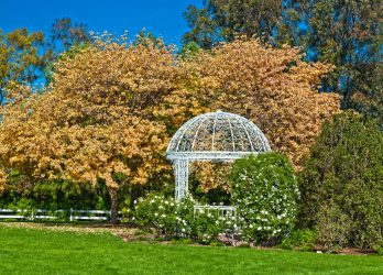 Садовые Беседки своими руками — Красивые варианты (245+ Фото). Как превратить в настоящее украшение? (из дерева, из металла, из поликарбоната)