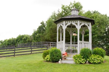 Садовые Беседки своими руками — Красивые варианты (245+ Фото). Как превратить в настоящее украшение? (из дерева, из металла, из поликарбоната)