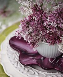 Сервировка праздничного стола (+280 Фото) в домашних условиях: Технология и правила организации красивых застолий